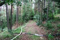 Wasserversorgung durch steiles und teilweise schwer befahrbares Waldgebiet